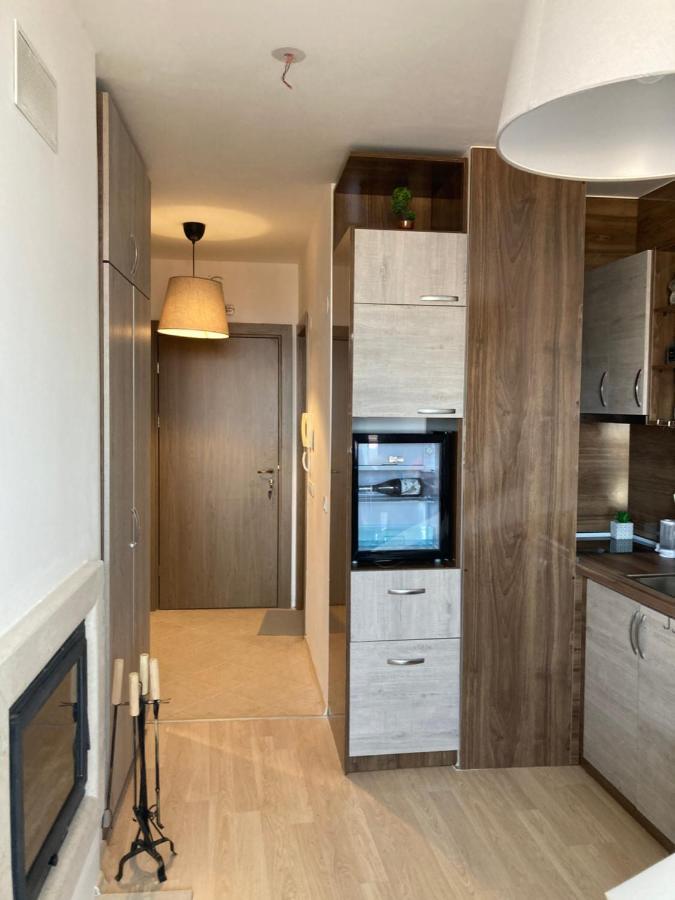 Mirabell Studio Bansko - Amazing View & Fireplace Esterno foto